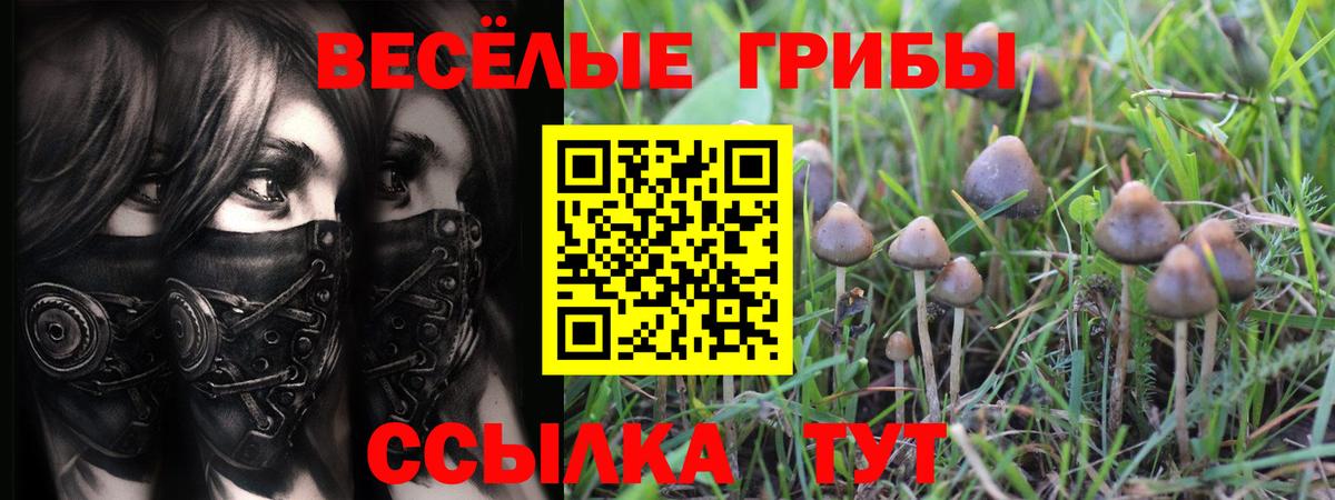 Псилоцибиновые грибы MAGIC MUSHROOMS Уварово